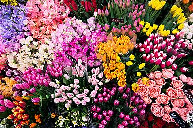 《魔界战记7》试玩版1月12日上线 可游玩前两章