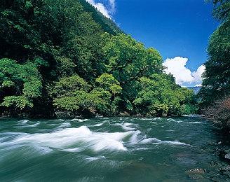 《大鼠帝国》Steam正式推出 蒸汽朋克风格即时战略