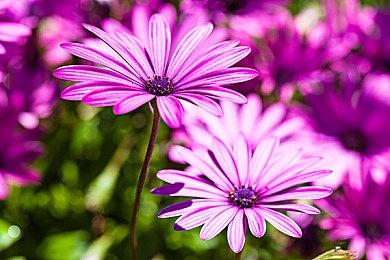 《Chef RPG》Steam抢先体验 海边小镇餐厅经营